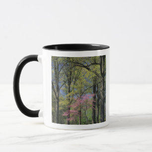 USA, Kentucky, Louisville. Östliche Redbud Tasse
