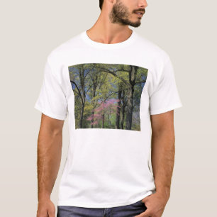 USA, Kentucky, Louisville. Östlicher Judasbaum T-Shirt