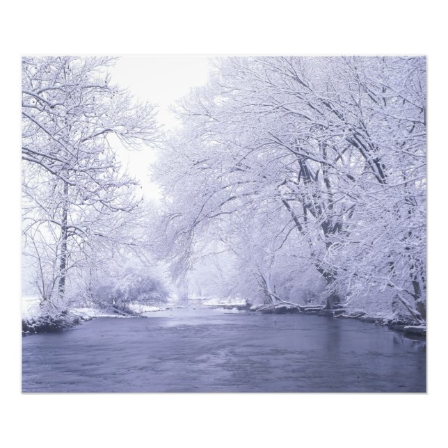 USA, Kentucky, Louisville. Schnee bedeckt Fotodruck (Vorne)