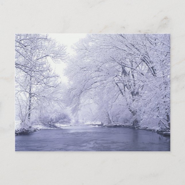 USA, Kentucky, Louisville. Schnee bedeckt Postkarte (Vorderseite)