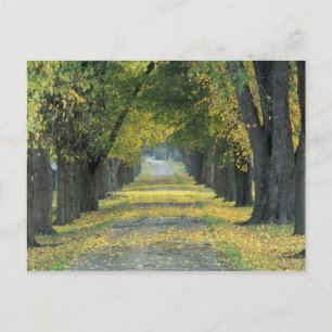 USA, Kentucky, Louisville. Treppenweg Postkarte