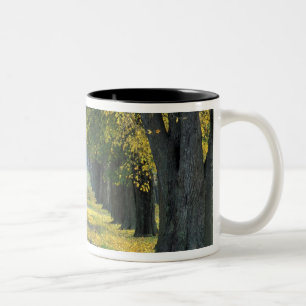 USA, Kentucky, Louisville. Treppenweg Zweifarbige Tasse
