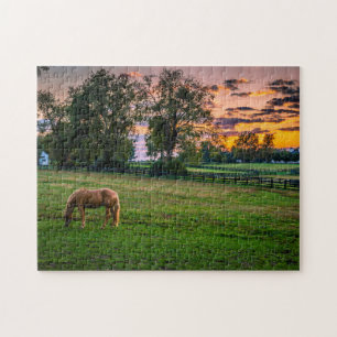 USA, Lexington, Kentucky. Einsames Pferd bei Sonne Puzzle