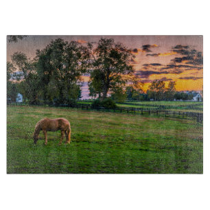 USA, Lexington, Kentucky. Einzelnes Pferd bei Sonn Schneidebrett