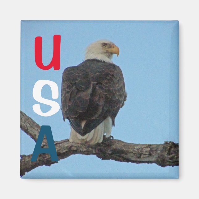 USA MAGNET (Vorne)