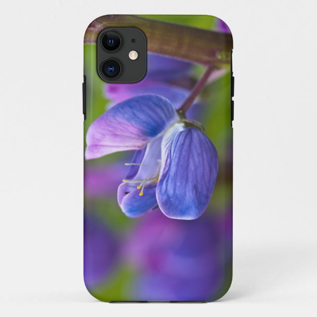 USA, Maine, Acadia National Park. Nahe Case-Mate iPhone Hülle (Rückseite)