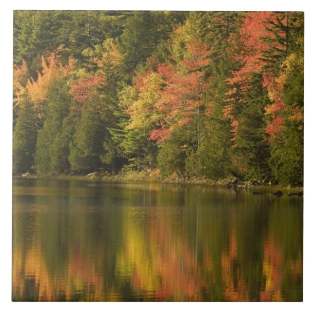 USA; Maine Acadia NP. Fallreflektionen bei Fliese (Vorderseite)