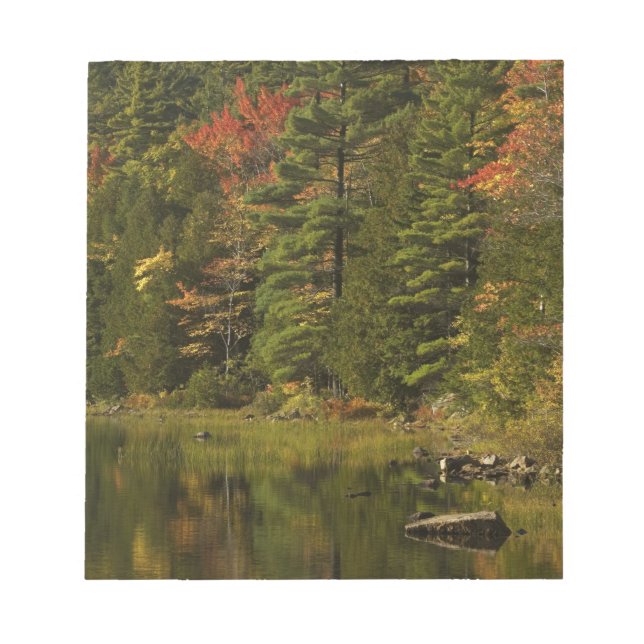 USA; Maine; Acadia NP. Herbstreflektionen bei 2 Notizblock (Vorderseite)