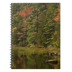USA; Maine Acadia NP. Herbstreflektionen bei 2 Notizblock