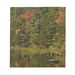 USA; Maine; Acadia NP. Herbstreflexionen bei 2 Notizblock