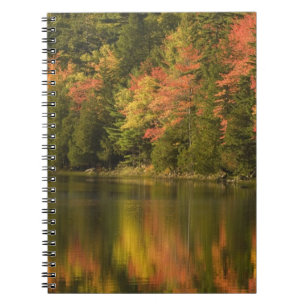 USA; Maine; Acadia NP. Herbstreflexionen bei Notizblock