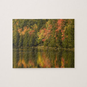 USA; Maine; Acadia NP. Herbstreflexionen bei Puzzle