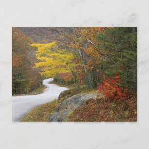 USA, Maine, Camden. Straße nach Camden Postkarte