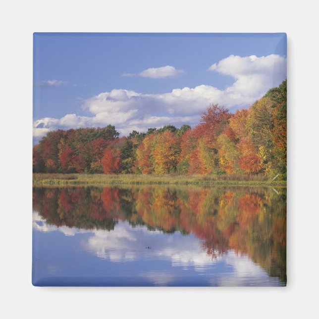 USA, Massachusetts, Acton. Herbstreflektion Magnet (Vorne)