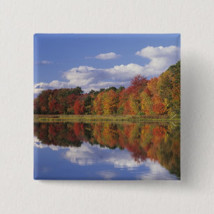 USA, Massachusetts, Acton. Reflexion des Herbstes Button