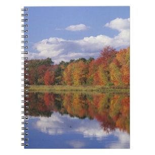 USA, Massachusetts, Acton. Reflexion des Herbstes Notizblock