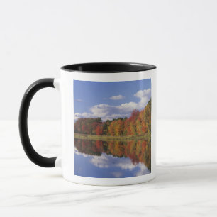 USA, Massachusetts, Acton. Reflexion des Herbstes Tasse