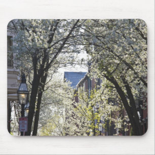 USA, Massachusetts, Boston, Beacon Hill. Mousepad