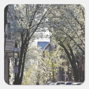 USA, Massachusetts, Boston, Beacon Hill. Quadratischer Aufkleber