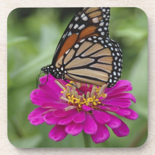 USA, Massachusetts, Boylston, Tower Hill Getränkeuntersetzer