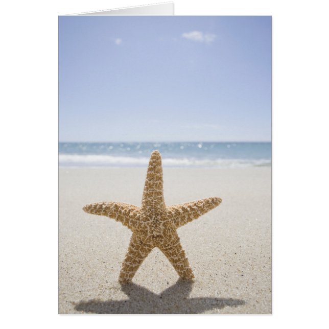 USA, Massachusetts, Cape Cod, Nantucket, nah (Vorne)