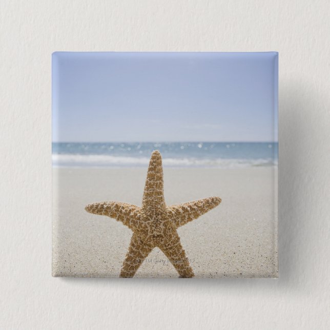 USA, Massachusetts, Cape Cod, Nantucket, nah Button (Vorderseite)