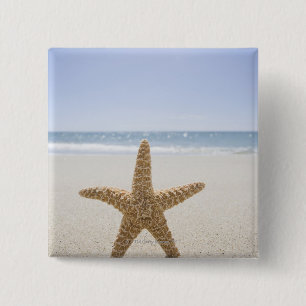 USA, Massachusetts, Cape Cod, Nantucket, nah Button