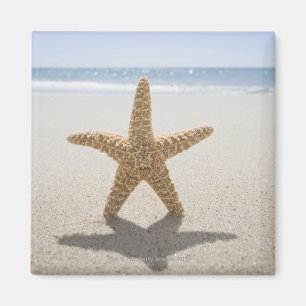 USA, Massachusetts, Cape Cod, Nantucket, nah Magnet