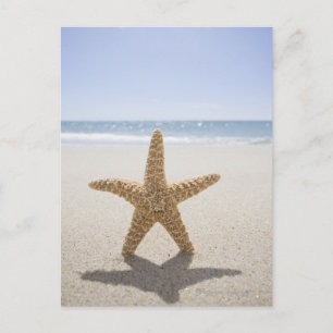 USA, Massachusetts, Cape Cod, Nantucket, nah Postkarte