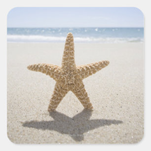 USA, Massachusetts, Cape Cod, Nantucket, nah Quadratischer Aufkleber