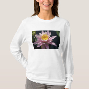 USA, Massachusetts, Great Barrington, Seerosenblat T-Shirt