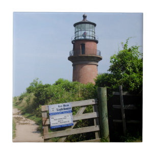 USA, Massachusetts, Martha's Vineyard, Aquinnah. Fliese