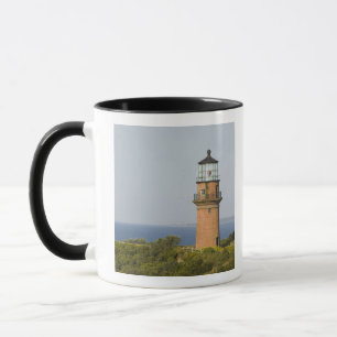 USA, MASSACHUSETTS, Martha's Vineyard: Aquinnah Tasse
