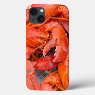USA, Massachusetts, Martha's Vineyard Case-Mate iPhone Hülle