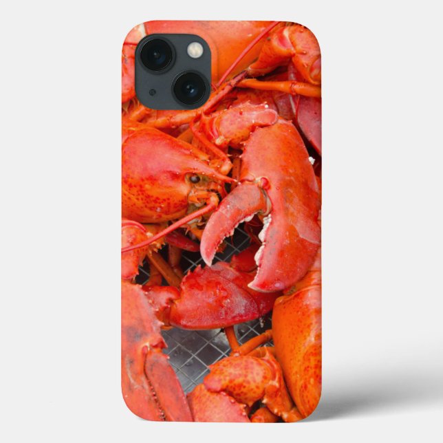 USA, Massachusetts, Martha's Vineyard Case-Mate iPhone Hülle (Rückseite)