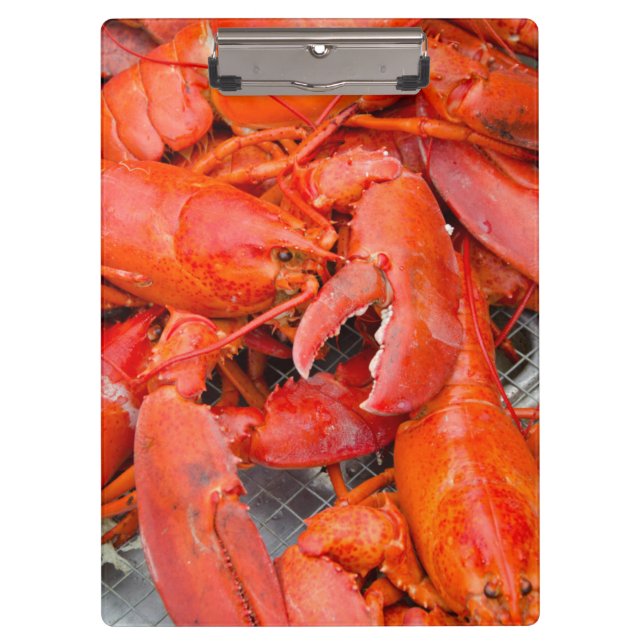 USA, Massachusetts, Martha's Vineyard Klemmbrett (Vorderseite)