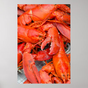 USA, Massachusetts, Martha's Vineyard Poster