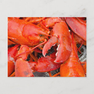 USA, Massachusetts, Martha's Vineyard Postkarte