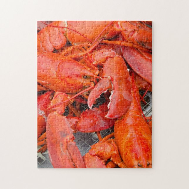 USA, Massachusetts, Martha's Vineyard Puzzle (Vertikal)