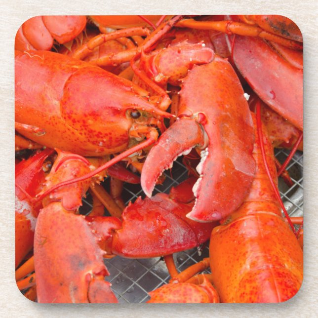 USA, Massachusetts, Martha's Vineyard Untersetzer (Vorderseite)