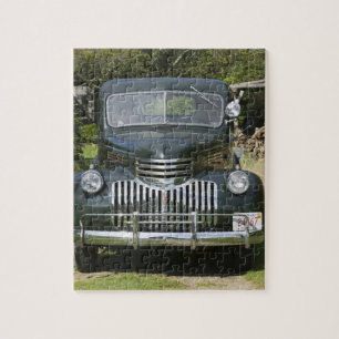 USA, MASSACHUSETTS, Martha's Vineyard: West4 Puzzle