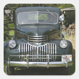 USA, MASSACHUSETTS, Martha's Vineyard: West4 Quadratischer Aufkleber