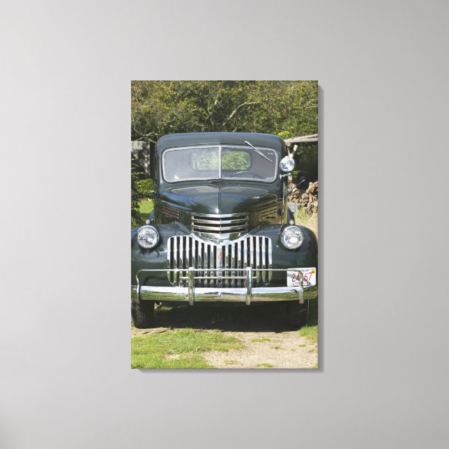 USA, MASSACHUSETTS, Martha's Vineyard: West 4 Leinwanddruck (Vorderseite)