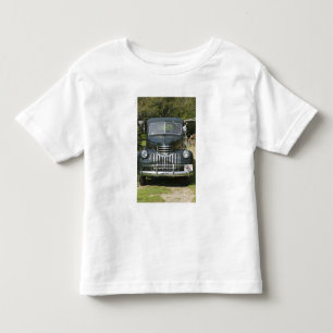 USA, MASSACHUSETTS, Martha's Vineyard: Westen 4 Kleinkind T-shirt