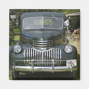 USA, MASSACHUSETTS, Martha's Vineyard: Westen 4 Magnet