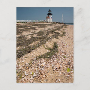 USA, Massachusetts, Nantucket. Muschel Postkarte