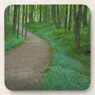 USA, Michigan. Bergfallpfad Getränkeuntersetzer