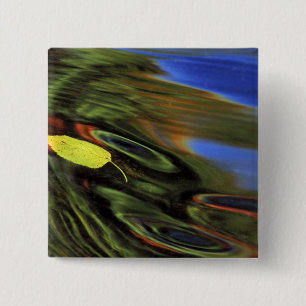 USA, Michigan, Birkenblatt im Fluss mit Herbst Button