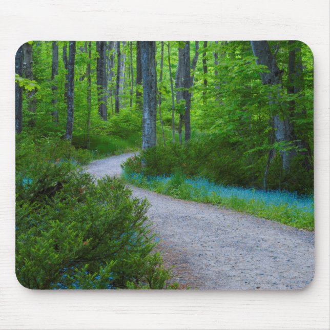 USA, Michigan. Der Weg durch den Wald Mousepad (Vorne)
