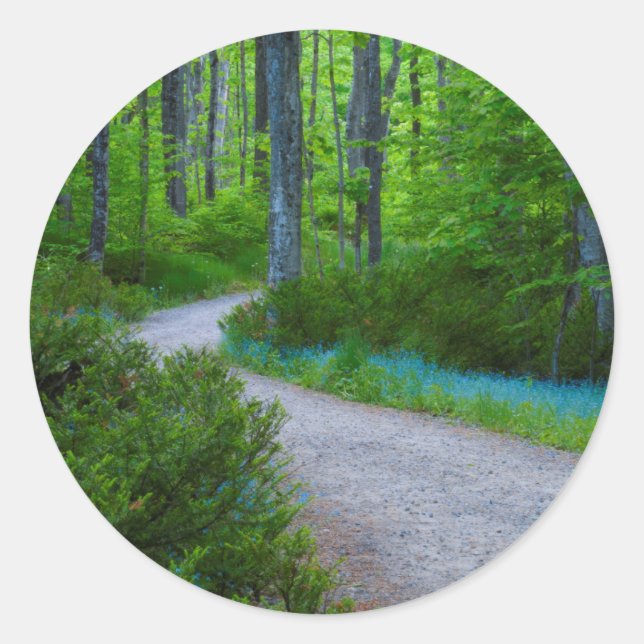 USA, Michigan. Der Weg durch den Wald Runder Aufkleber (Vorderseite)